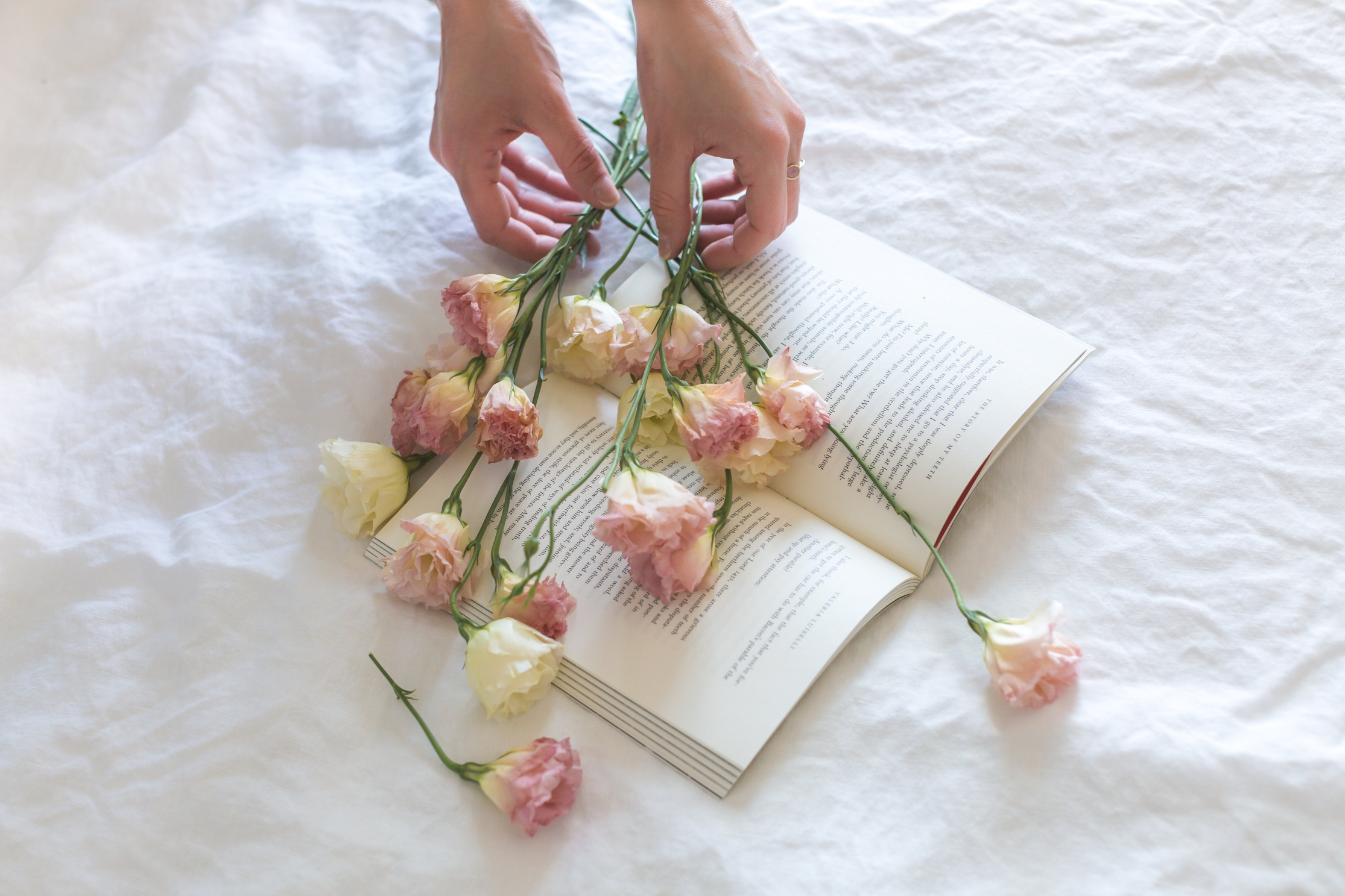 Pink-and-white Roses on Top of Open Book Nestled on White Textile